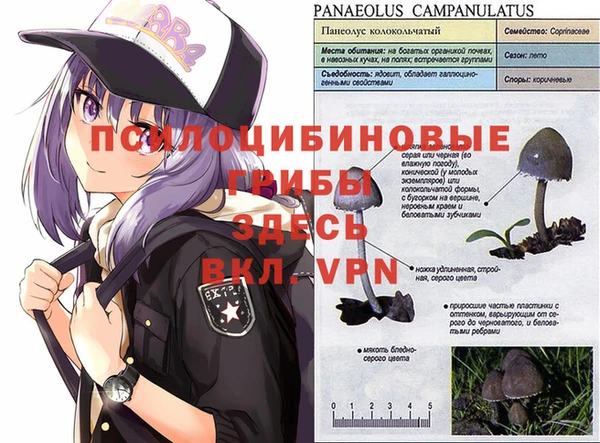 дурь Абдулино