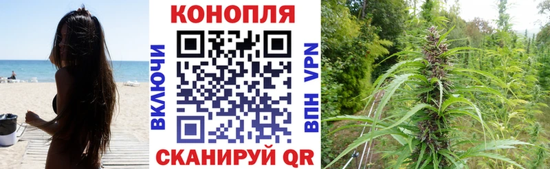 Бошки Шишки MAZAR  Туран 